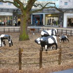 Concrete Cows: Liz Leyh, 1978